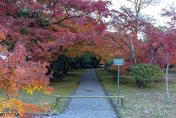 離宮の庭 廣庭 - 桂離宮
