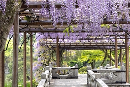 寺院の庭　UNF　2枚 相国寺 光源院庭園 ― 「京の冬の旅」で特別公開…京都市上京区の