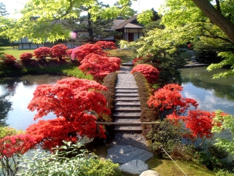 桂離宮 桂離宮（Katsura Imperial Villa）｜御所・離宮参観案内｜公益財団法人