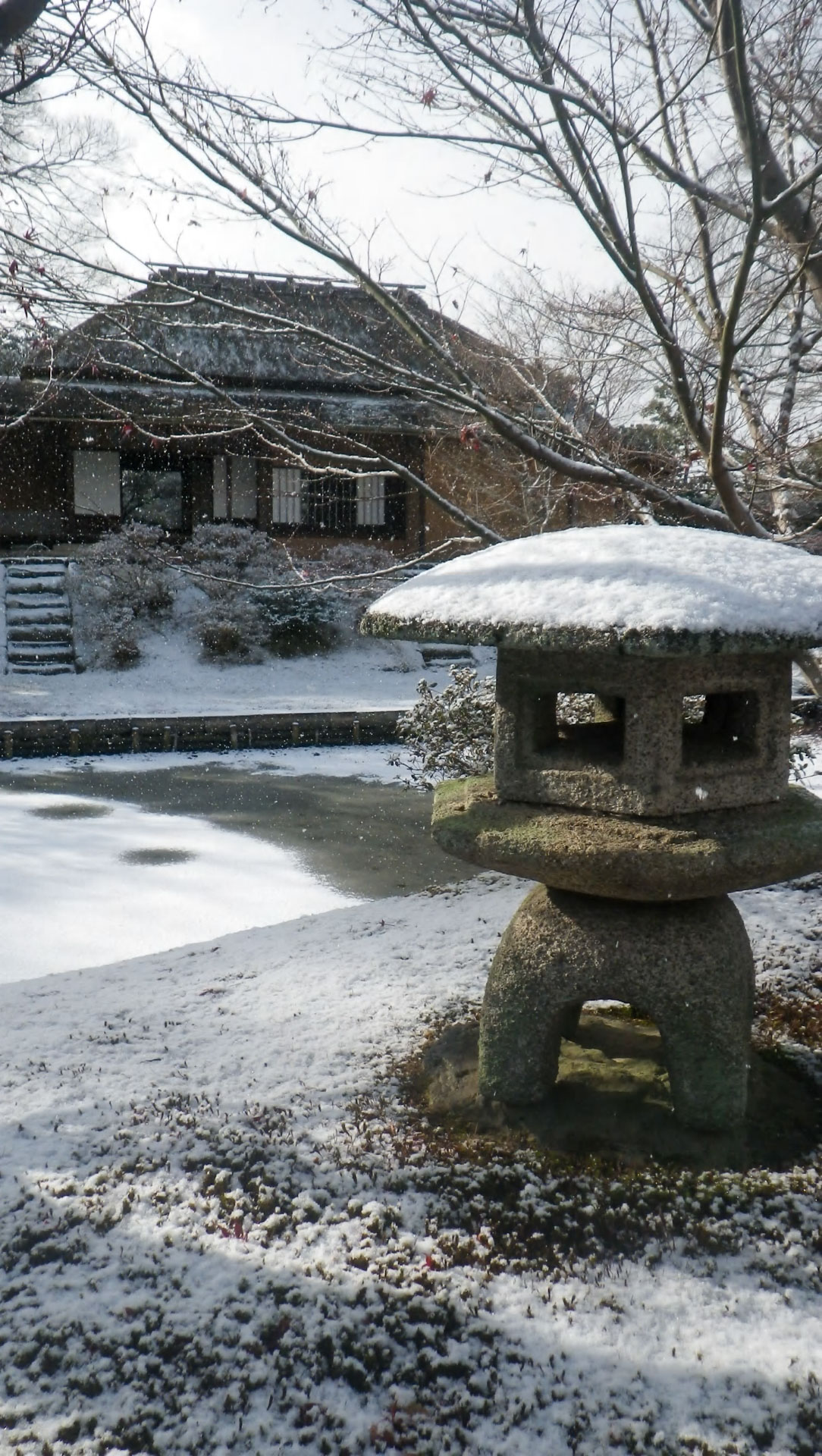 雪景色 - 京都御所