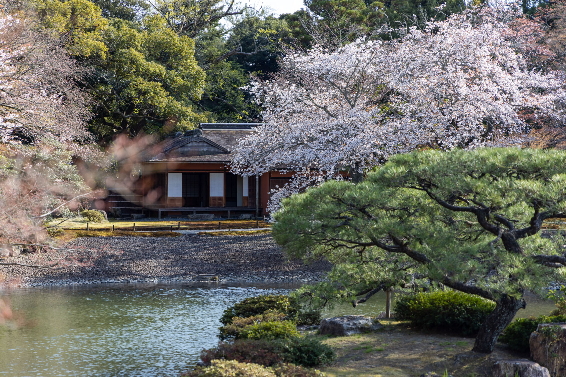 醒花亭の屋根葺替 - 京都御所
