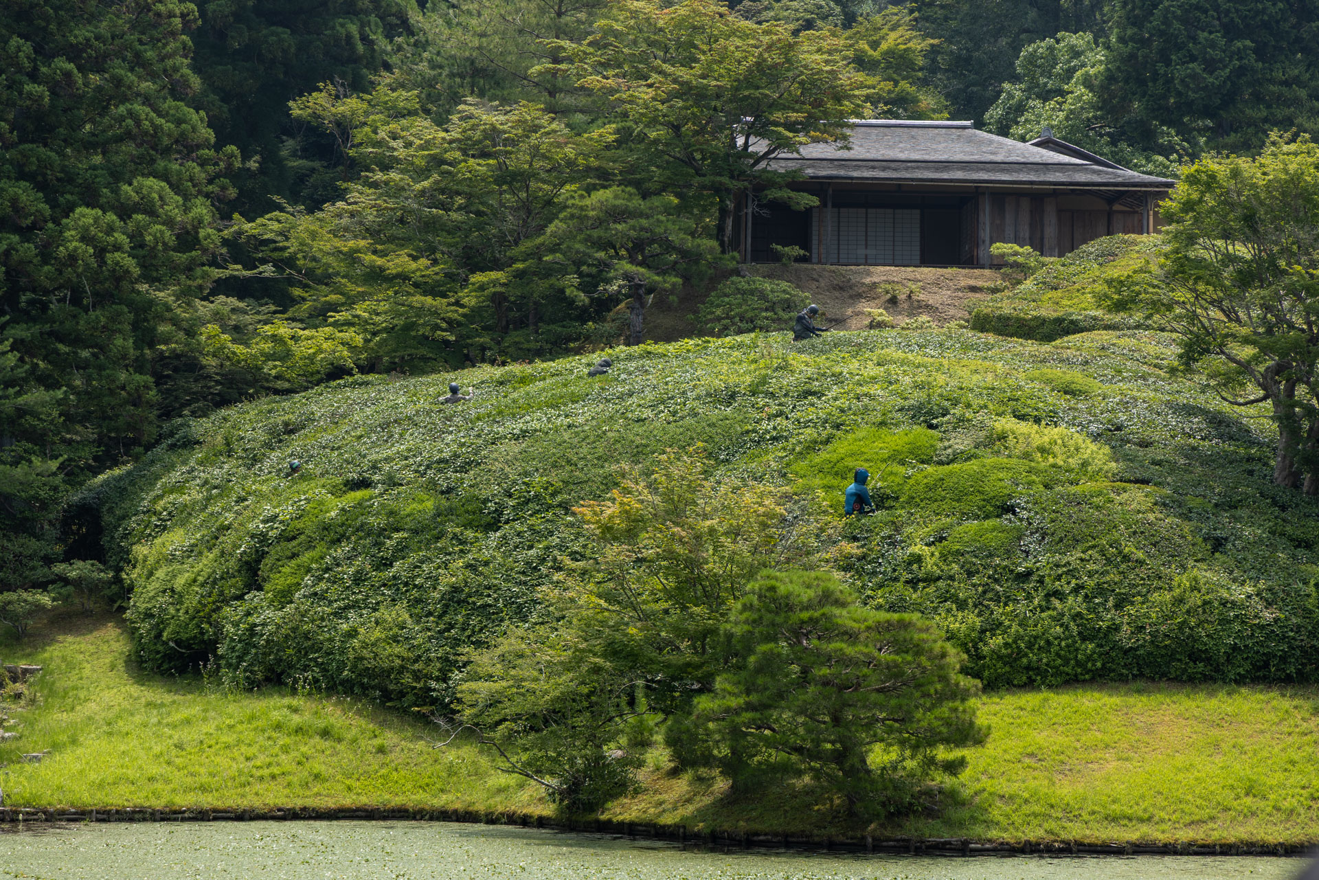 修学院離宮の大刈込 - 京都御所