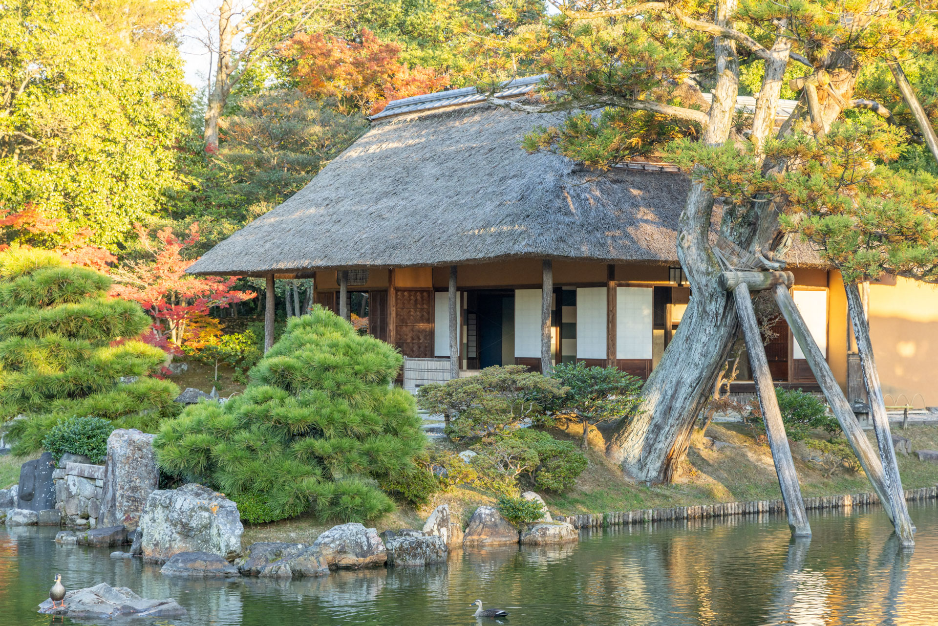 参観に関するご案内 【桂離宮】 - 京都御所