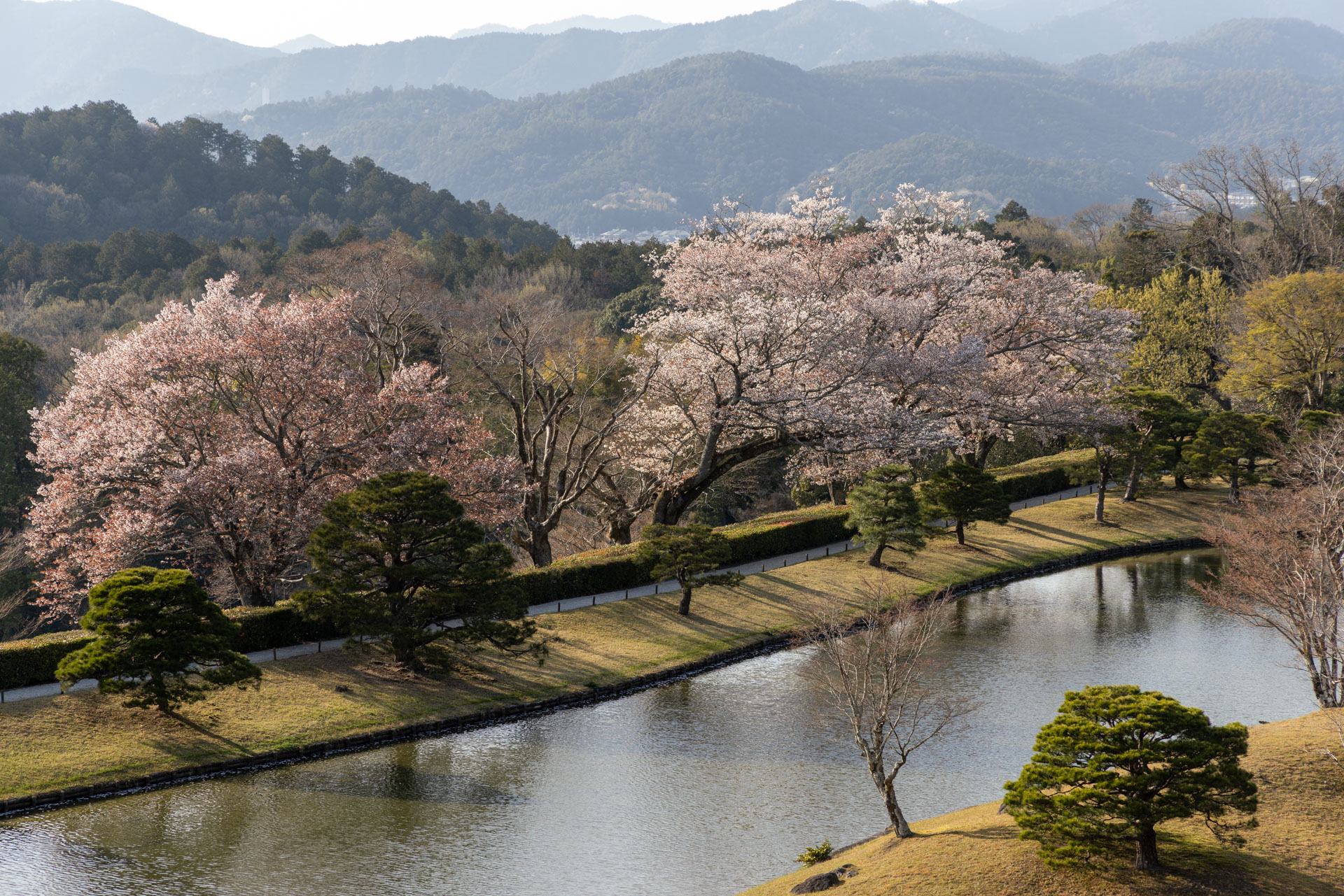 修学院離宮の植物 - 京都御所