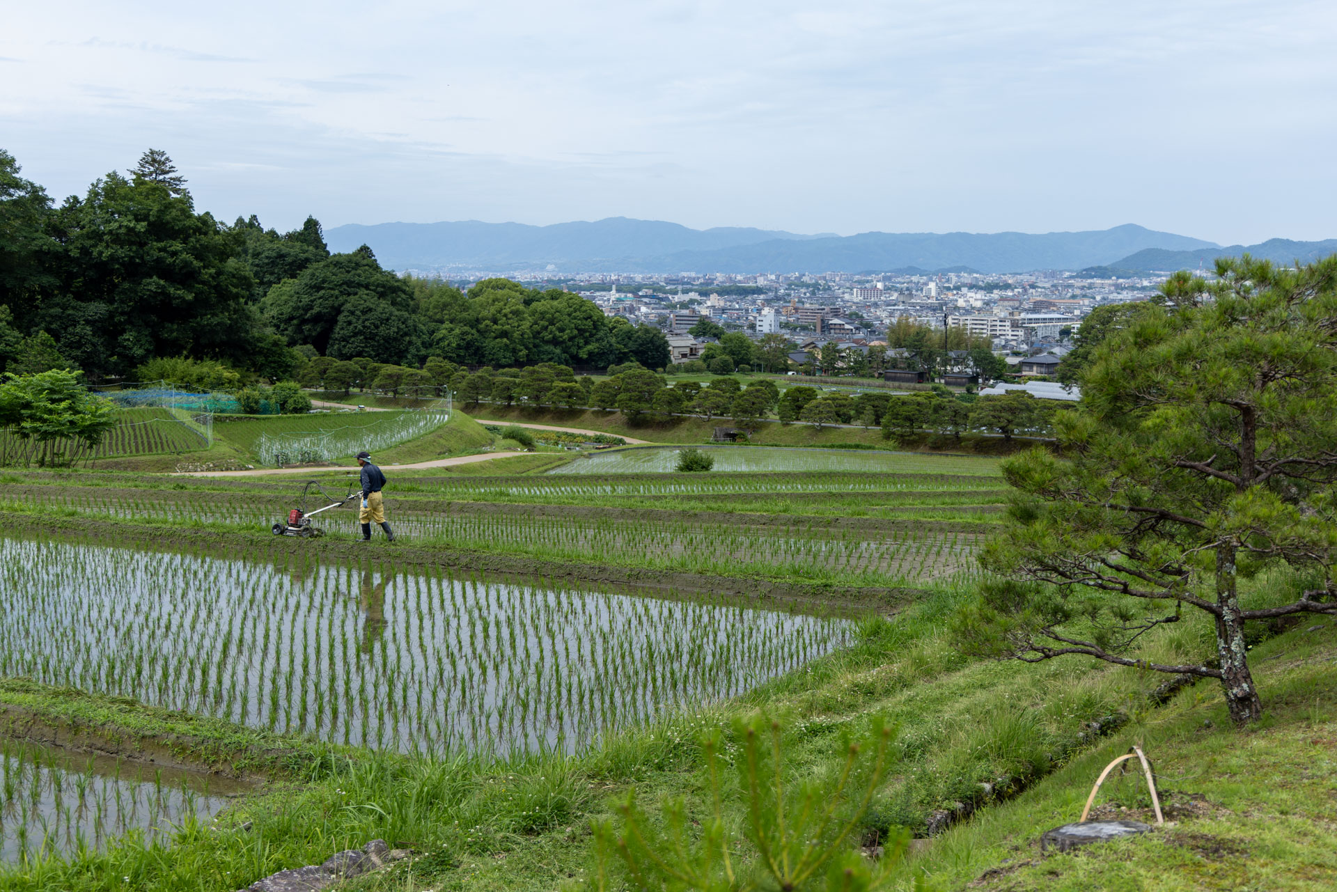 修学院離宮物語 修学院離宮（しゅうがくいんりきゅう）の見どころ、口コミ
