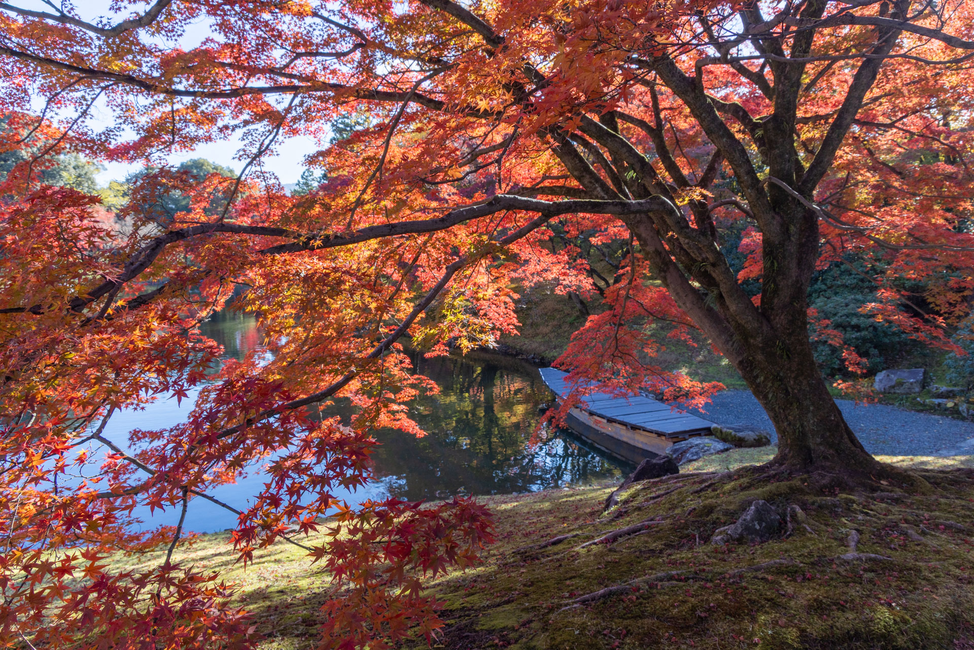 宗 イベコレ 2023 autumn Introduction to Autumn Colours 2024 in Hiroshima Chugoku