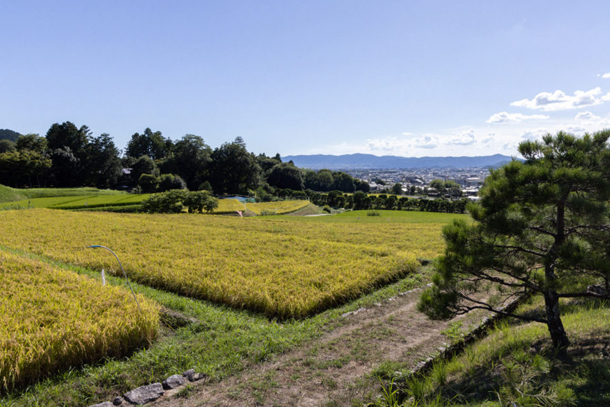 離宮の庭 修学院離宮（下離宮・中離宮） ― 後水尾上皇作庭…京都市左京区の