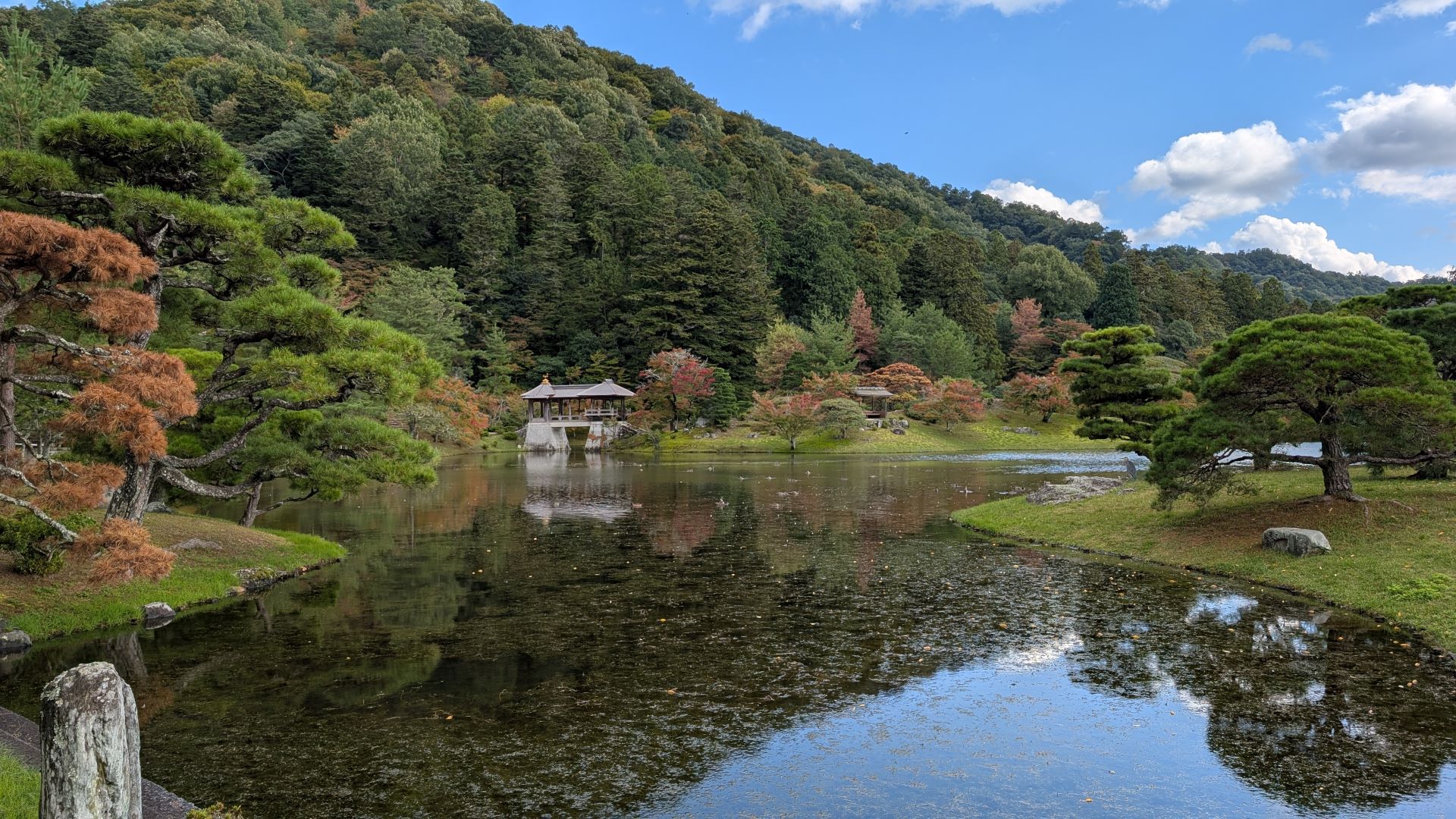 桂離宮 ホーム - 桂離宮