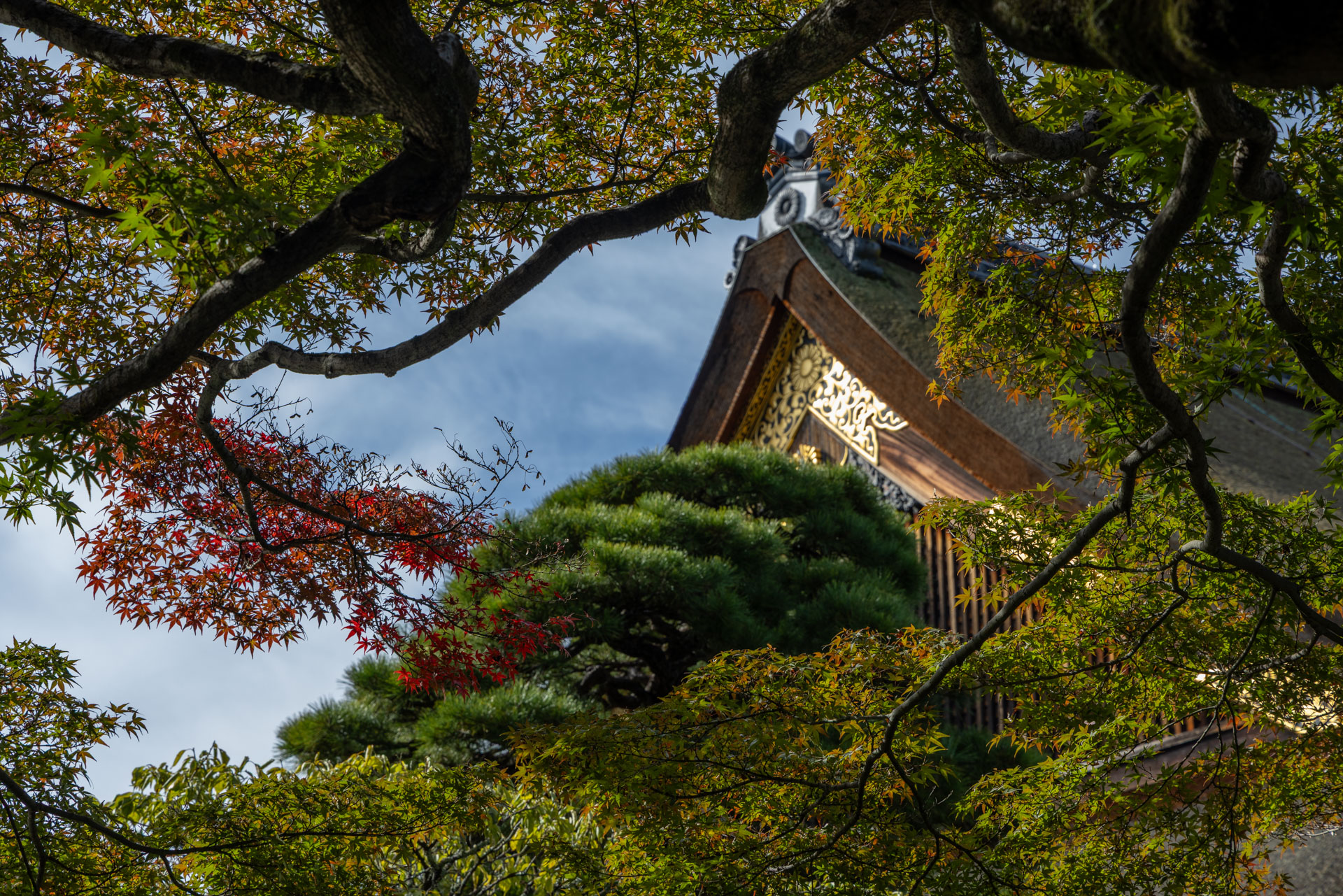 離宮の庭 3ヶ月前に予約して 桂離宮 - 吉谷桂子のガーデンダイアリー ～花と緑