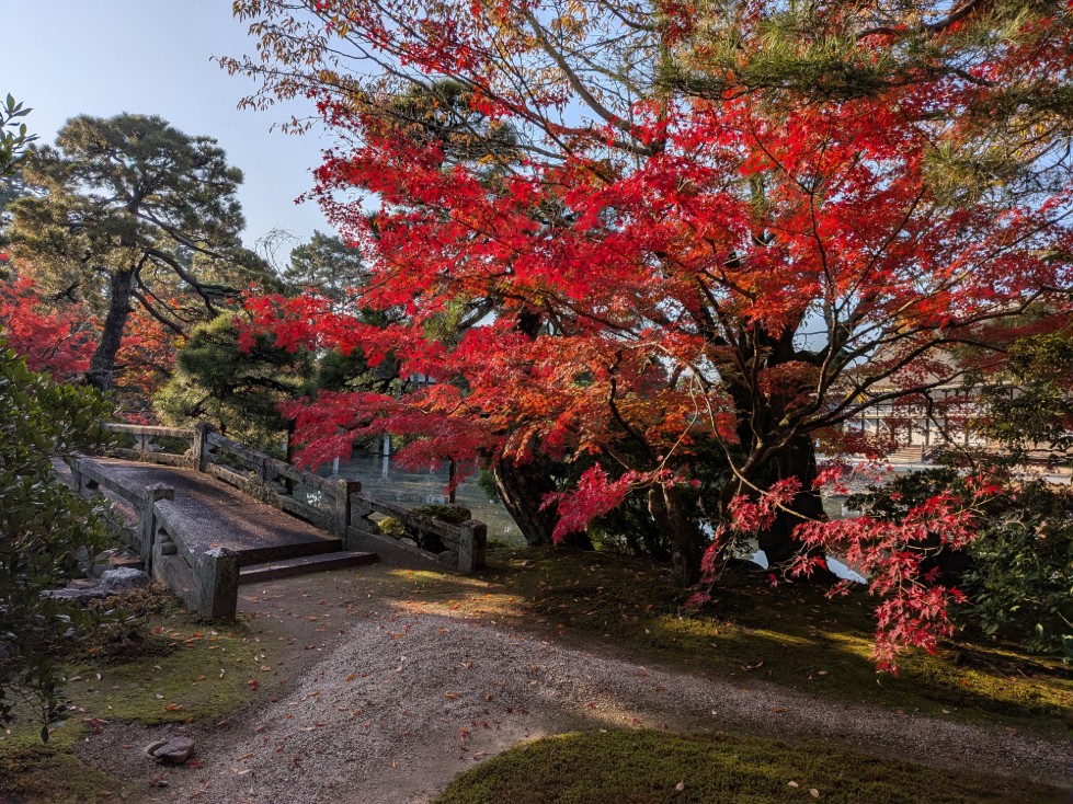 ホーム - 桂離宮