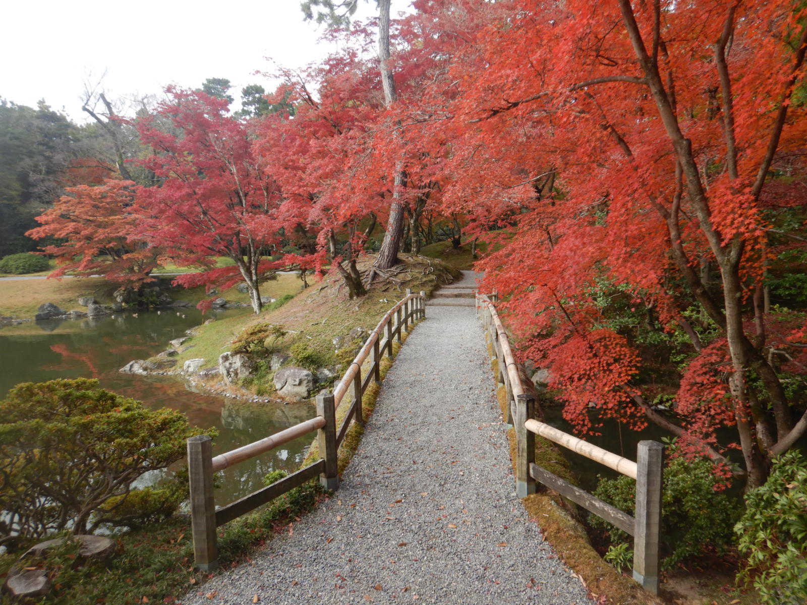 ホーム - 桂離宮