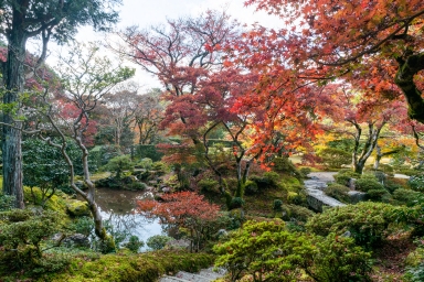 中離宮 - 修学院離宮