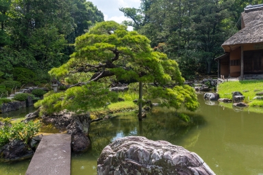 離宮の庭 天橋立 - 桂離宮
