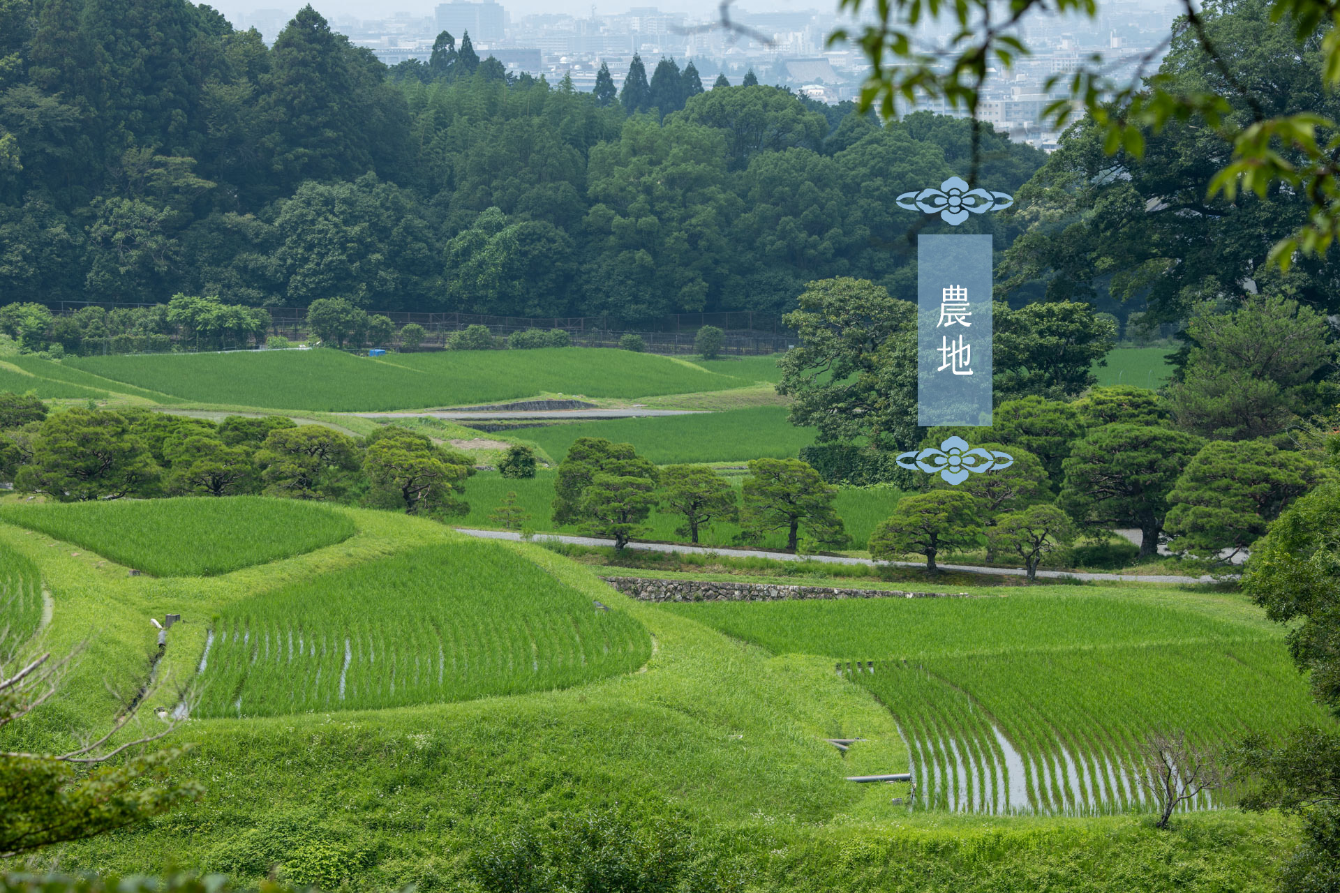 修学院離宮物語 修学院離宮［施設案内］｜宮内庁 皇居・京都御所・離宮参観