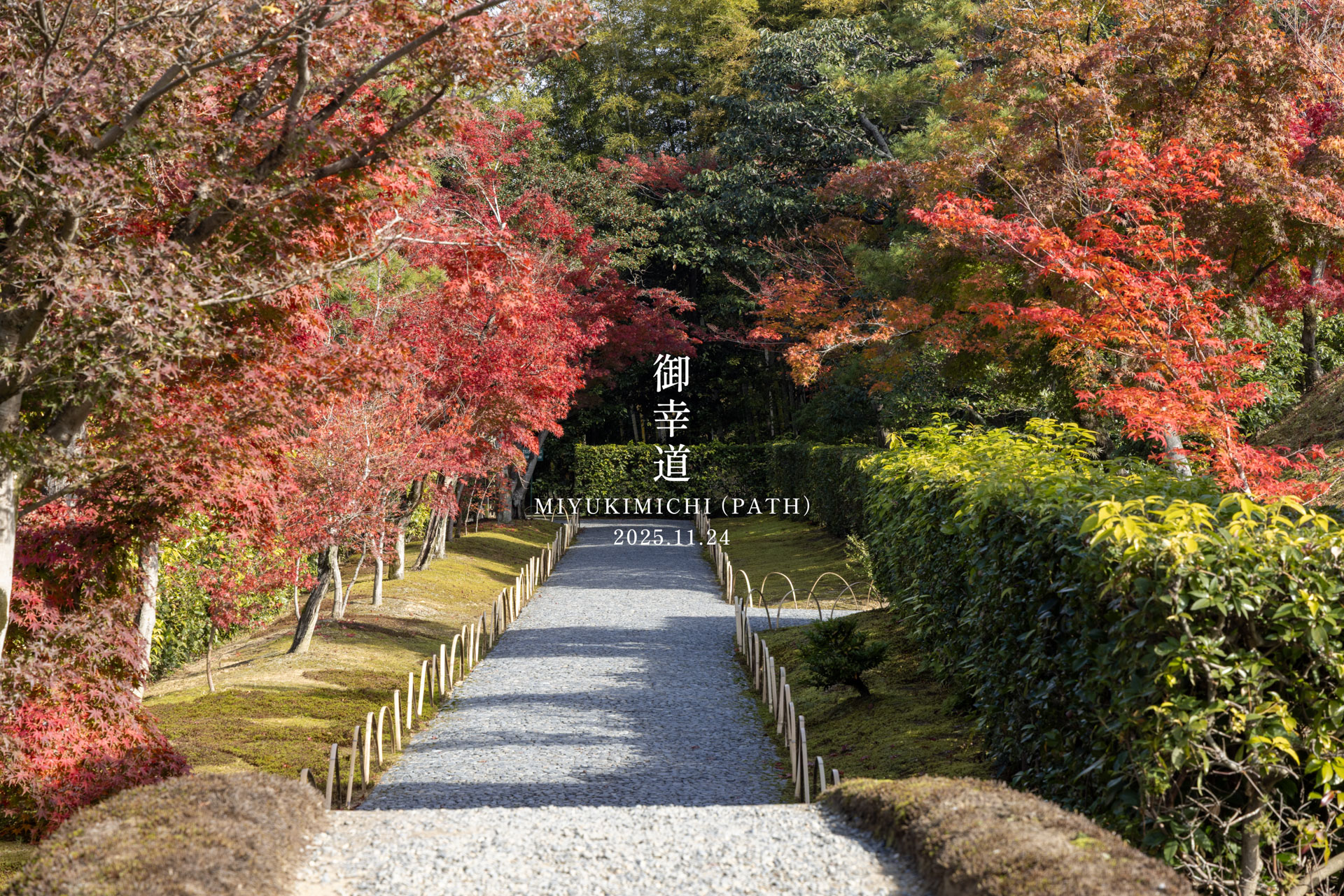 ホーム - 桂離宮